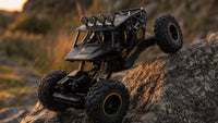 Voiture Télécommandée Tout Terrain Crawler 28 cm 4WD Black Alloy