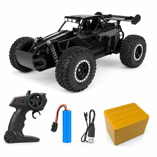 Voiture Télécommandée Tout Terrain DK087 Noire 2WD 1:16