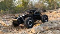 Voiture Télécommandée Tout Terrain DK087 Noire 2WD 1:16